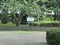 鋼管通五丁目緑...