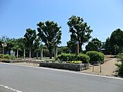 野川公園まで637m、簡易アスレチック複合遊具、鉄棒、健康器具（ぶら下がり、 背伸ばし）、水飲み、手洗い場がある公園らしい公園です