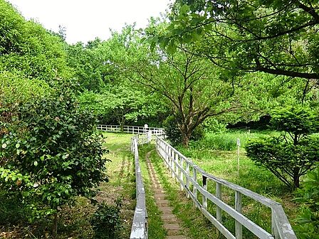 多摩美公園まで1078m、多摩美ふれ森と、麻生区市民健康の森に隣接した多摩美公園。春になると桜で美しく彩られます。