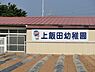 周辺：上飯田幼稚園まで1094m、上飯田幼稚園は横浜市泉区の田んぼ・畑・森のある幼稚園です。