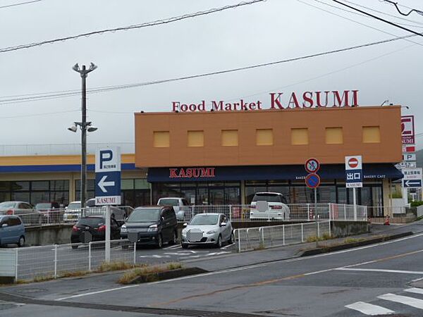 画像13:KASUMI（カスミ） 東大沼店（1099m）