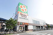 ライフ北越谷店（548m）