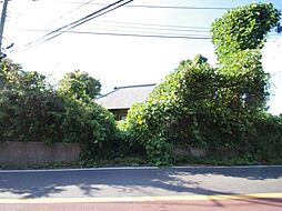 物件画像 山武郡 芝山町 境(さんぶぐん しばやままち さかい)