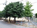 西ノ庄児童公園...