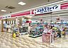 周辺：ココカラファイン五条西小路店まで320m、営業時間：9：00～21：00
