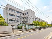 横浜市立新田中学校まで500m、横浜市立新田中学校