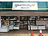 周辺：グルメシティ淵野辺本町店まで1000m、グルメシティ淵野辺本町店