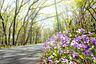 周辺：こもれびの森まで1900m、こもれびの森