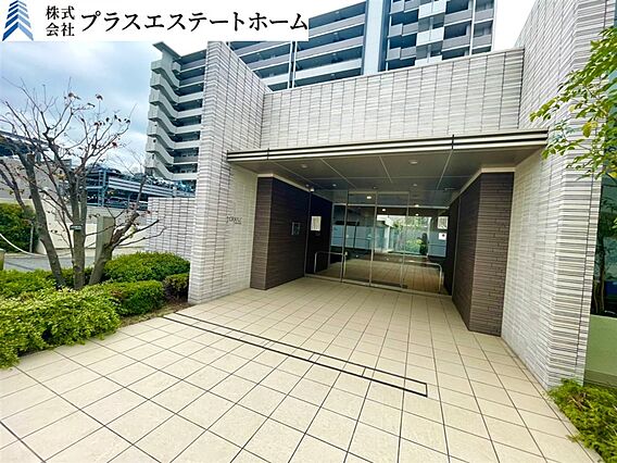 築浅ハイグレー...