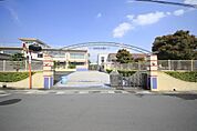 めぐみ幼稚園まで395m