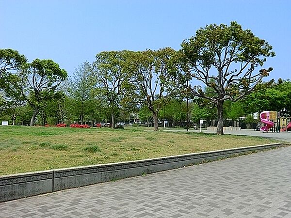 周辺を拡大表示