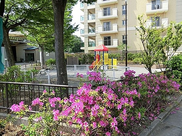 周辺を拡大表示
