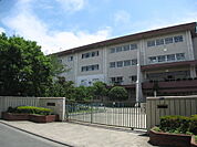 川崎市立西丸子小学校まで1337m