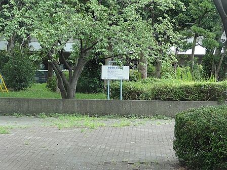 鋼管通五丁目緑地まで705m