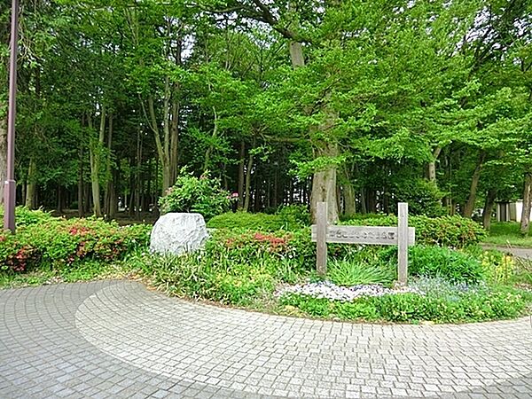 周辺を拡大表示