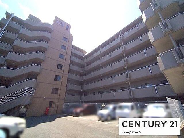 外観 サンルシエル大津 4階/-