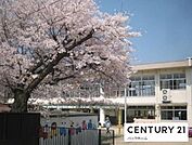 大津市立膳所幼稚園まで870m