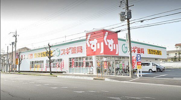 画像22:スギ薬局和泉府中東店まで263m