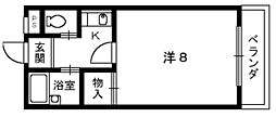 🉐敷金礼金0円！🉐メゾンドプラトン