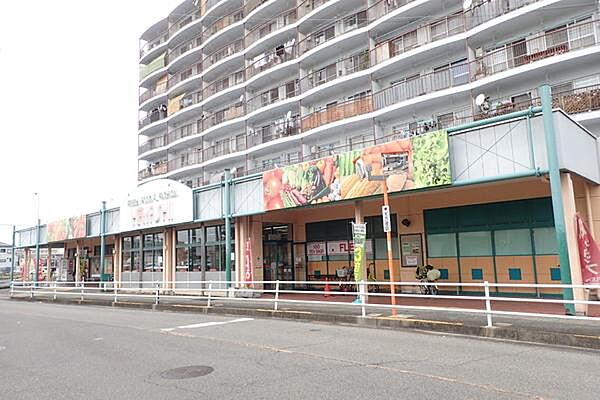 ＨＡＰＵＮＡ高石 ｜大阪府高石市西取石５丁目(賃貸マンション3LDK・4階・65.56㎡)の写真 その23