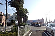 ウエルシア高石高師浜店まで174m