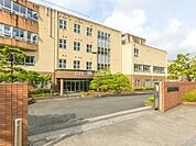 川崎市立柿生小学校まで1648m