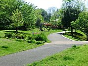 片倉うさぎ山公園まで537m、水遊びや木登り、たき火や秘密基地など、大人が見守る中で子供たちが挑戦できるプレイパークが随時開催されている魅力的な公園。