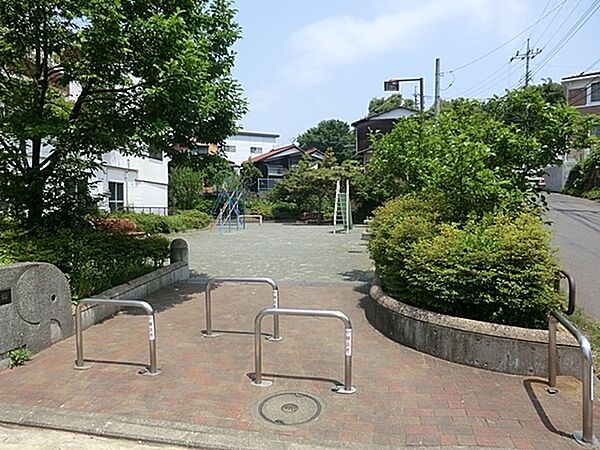 周辺を拡大表示