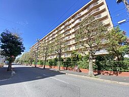 物件画像 新松戸アゼリアパークハウスＢ棟