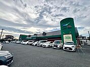フーズマーケットセレクション花野井店まで667m、徒歩約9分毎日のお買い物に便利ですね