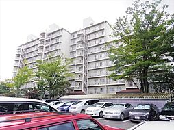 物件画像 新松戸サンライトパストラル六番街Ａ棟
