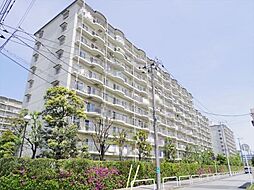 物件画像 新松戸サンライトパストラル弐番街Ｃ棟