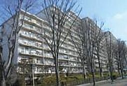物件画像 新松戸サンライトパストラル五番街Ｄ棟