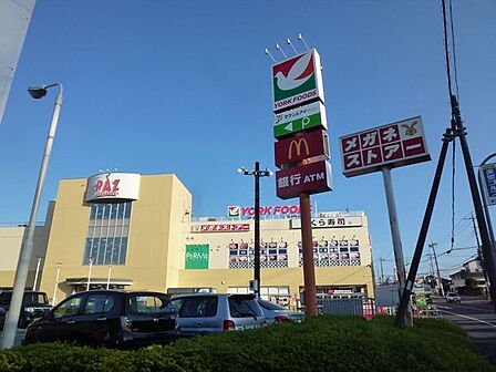 ヨークフーズ新柏店まで785m