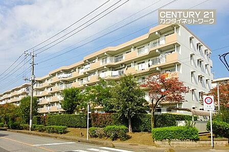 東鷲宮ニュータウン駅前通り