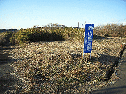 物件画像 トーホーランドふるさとB号地