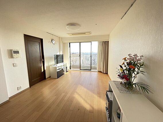 リビング/ダイ...