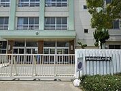 和歌山市立福島小学校まで437m