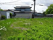 全景　北から東