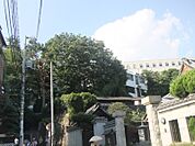 聖心女子大まで３００ｍ