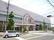 イトーヨーカドー湘南台店まで1062m