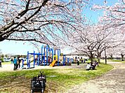 引地川親水公園まで1108m、ピクニックに最適な遊具もたくさんある親水公園