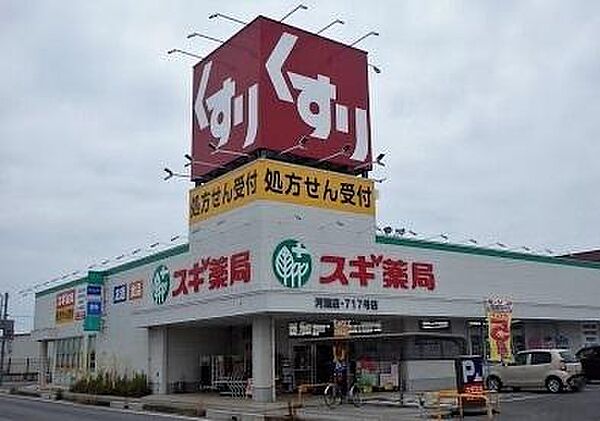 画像21:スギ薬局河瀬店まで232m