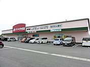 クスリのアオキまで3063m