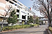 ステラタウンまで約900m