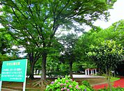 与野中央公園まで約350m