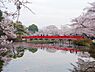 周辺：岩槻城址公園まで約600m