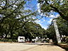 周辺：調(つきのみや)公園まで約290m