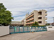 城南小学校まで約592m