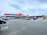 ドラッグストアセキさいたま白鍬店まで約1000m